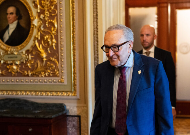 Senate clashes over fate of ‘anti-weaponization’ fund