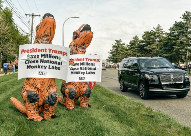 RFK Jr.’s moves on animal testing spur Capitol Hill action