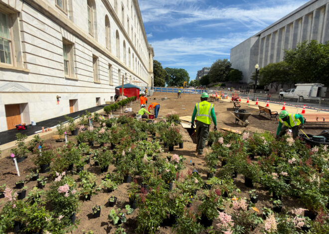 ‘Tough lessons’: House braces for Rayburn renovation
