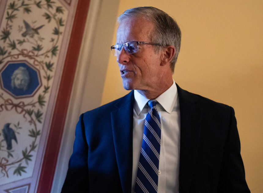 Senate plans fast action on Trump’s DNI pick