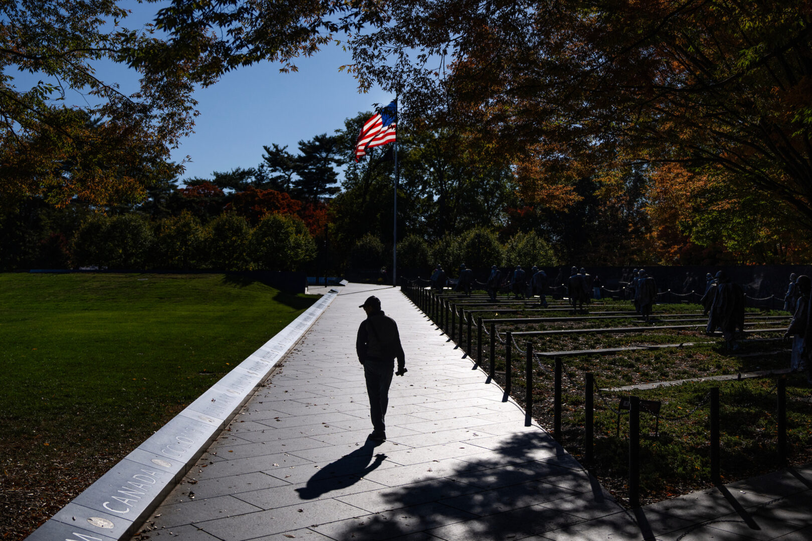 Surge in veterans’ brain injuries shown in VA records
