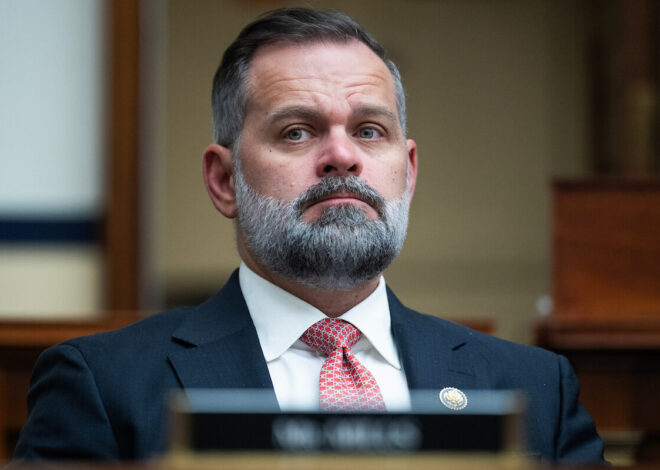 Florida Rep. Cory Mills loses primary as Wasserman Schultz, Moskowitz prevail