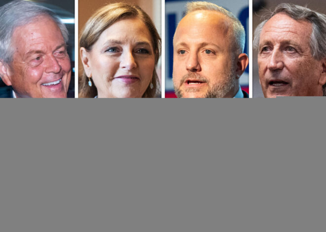 10 candidates vie to replace Lindsey Graham in South Carolina