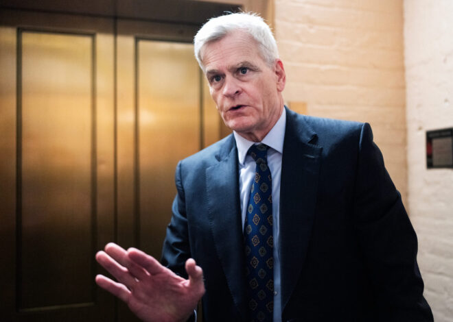 Cassidy says abortion pill makers turn blind eye to safety