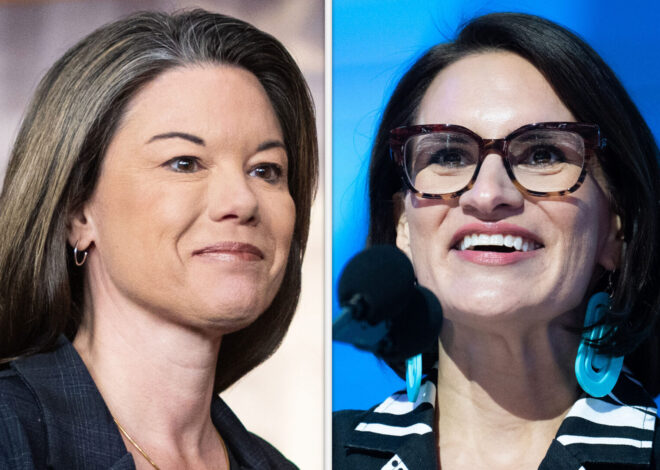 What to know about the Minnesota Senate election