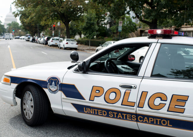 Man arrested with guillotine near Capitol told officers it was ‘the real deal’