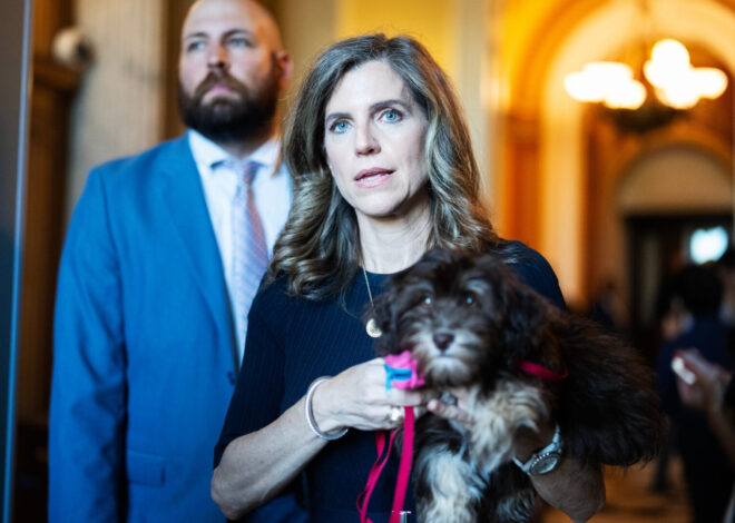 Veterans benefit bill gets 218 signatures on discharge petition