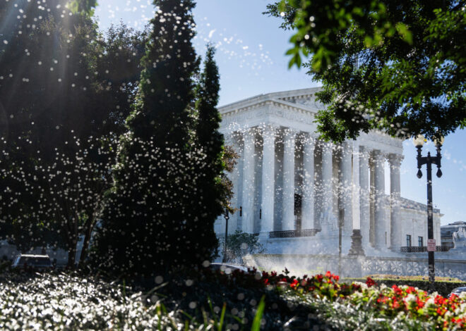 Guns, voting and immigration on deck for Supreme Court