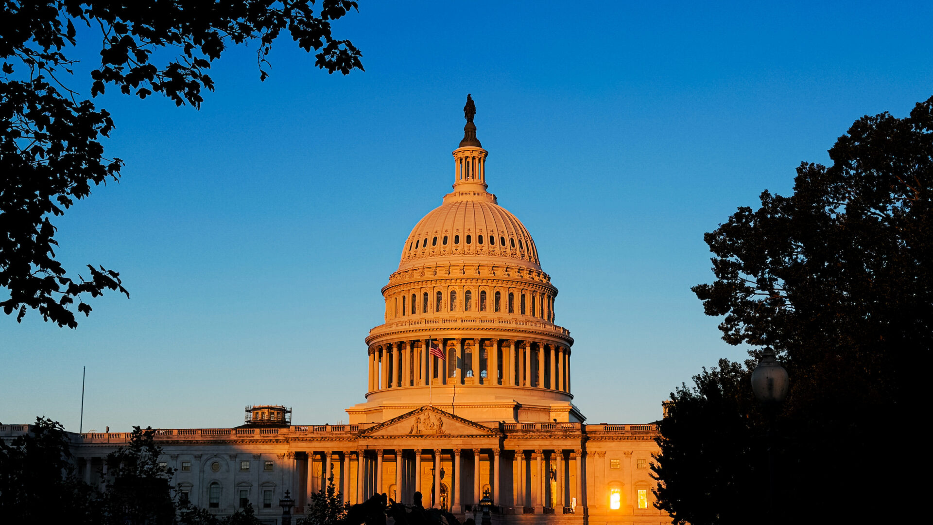 ‘Suspicious substances’ target senators on anniversary of attack